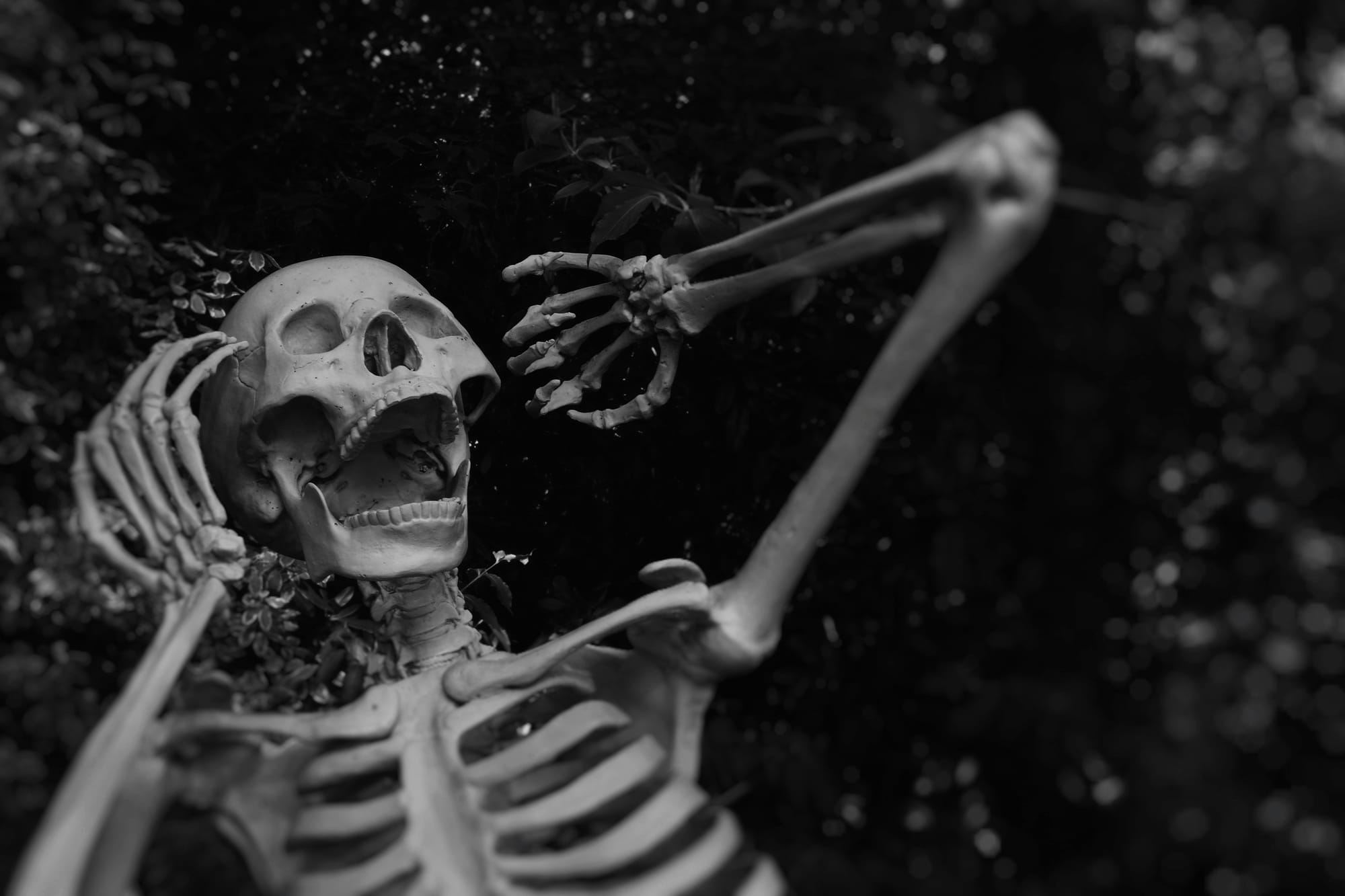 Spooky